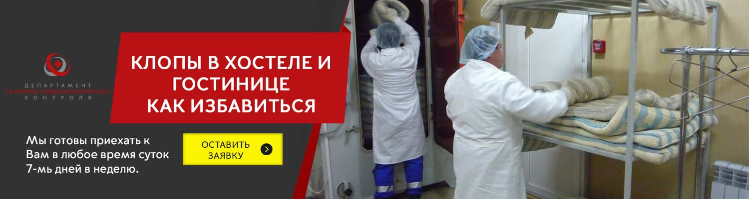 Клопы в гостинице или хостеле в Чехове как избавиться